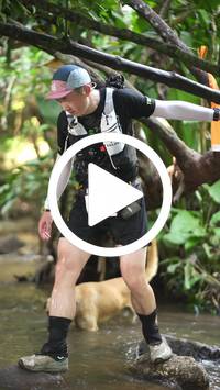 BIB:  <button type="button" onclick="openModal(27824916)" class="btn btn-primary btn-sm float-right" data-toggle="modal" data-target=".modal-high-quality">
                <i class="fa fa-download"></i> Download
                </button>